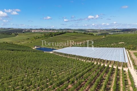 Landejendom i Cadaval, Lisbon, Cadaval - € 2.600.000 | Ref: FG495 - foto 38
