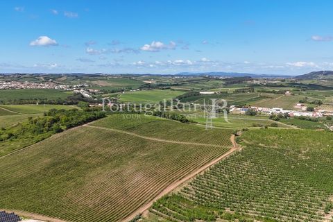 Landejendom i Cadaval, Lisbon, Cadaval - € 2.600.000 | Ref: FG495 - foto 39