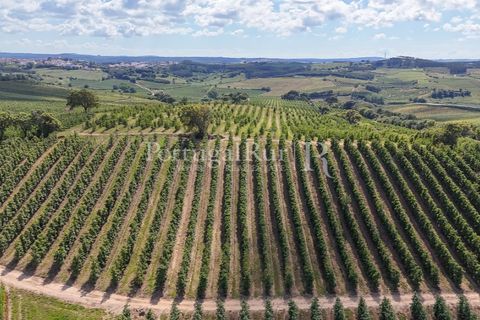 Landejendom i Cadaval, Lisbon, Cadaval - € 2.600.000 | Ref: FG495 - foto 40