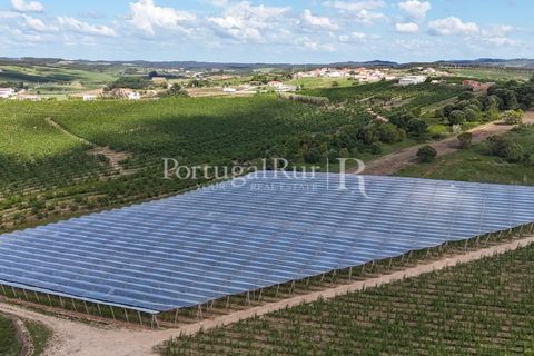 Landejendom i Cadaval, Lisbon, Cadaval - € 2.600.000 | Ref: FG495 - foto 41