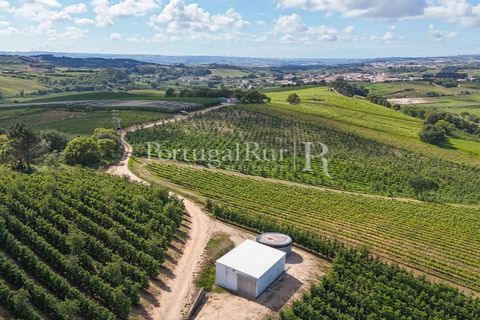 Landejendom i Cadaval, Lisbon, Cadaval - € 2.600.000 | Ref: FG495 - foto 42