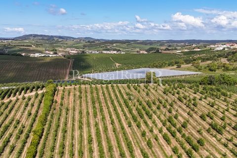 Landejendom i Cadaval, Lisbon, Cadaval - € 2.600.000 | Ref: FG495 - foto 43