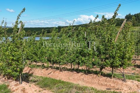 Landejendom i Cadaval, Lisbon, Cadaval - € 2.600.000 | Ref: FG495 - foto 44