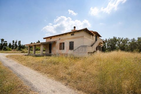 Villa em Sorso, Sassari, Sorso - € 230.000 | Ref: 14065 - foto 37