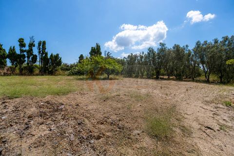 Villa em Sorso, Sassari, Sorso - € 230.000 | Ref: 14065 - foto 38