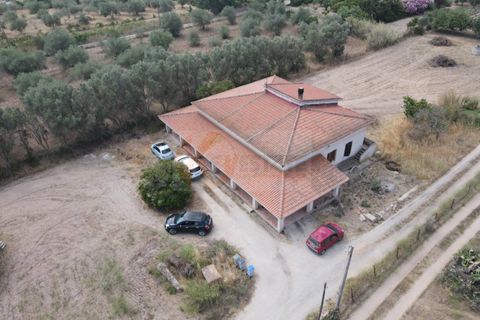 Villa em Sorso, Sassari, Sorso - € 230.000 | Ref: 14065 - foto 40