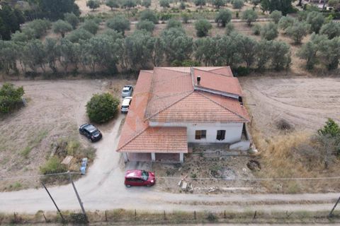 Villa em Sorso, Sassari, Sorso - € 230.000 | Ref: 14065 - foto 41
