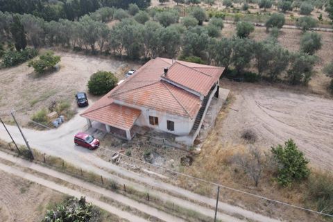 Villa em Sorso, Sassari, Sorso - € 230.000 | Ref: 14065 - foto 42