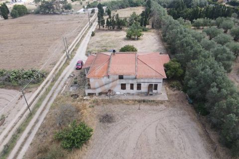 Villa em Sorso, Sassari, Sorso - € 230.000 | Ref: 14065 - foto 44