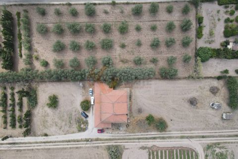 Villa em Sorso, Sassari, Sorso - € 230.000 | Ref: 14065 - foto 45