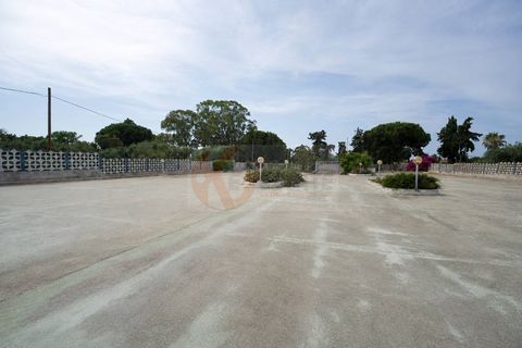 Erhvervsejendom i Sorso, Sassari, Sorso - € 260.000 | Ref: 14066 - foto 47