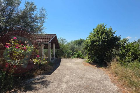 Haus in Arce, Frosinone, Arce - € 58.000 | Ref: AC99-149-1772 - Foto 3