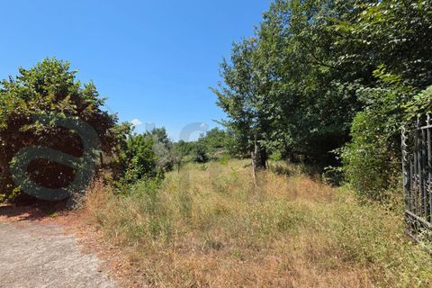 Haus in Arce, Frosinone, Arce - € 58.000 | Ref: AC99-149-1772 - Foto 5