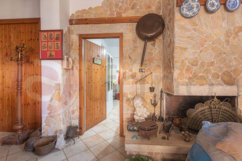 Erhvervsejendom i Pontecorvo, Frosinone, Pontecorvo - € 445.000 | Ref: AC99-149-1778 - foto 2