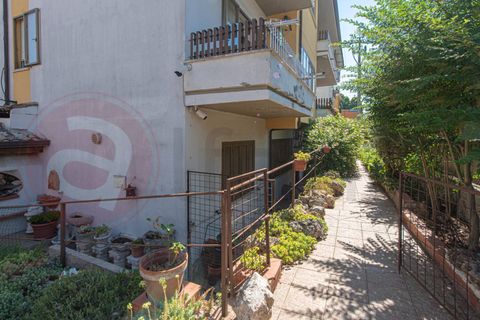 Erhvervsejendom i Pontecorvo, Frosinone, Pontecorvo - € 445.000 | Ref: AC99-149-1778 - foto 27