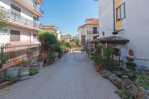 Erhvervsejendom i Pontecorvo, Frosinone, Pontecorvo - € 445.000 | Ref: AC99-149-1778 - foto 28