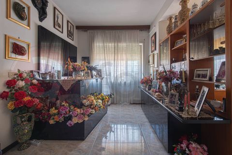 Erhvervsejendom i Pontecorvo, Frosinone, Pontecorvo - € 445.000 | Ref: AC99-149-1778 - foto 32