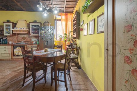Herregård i Ceccano, Frosinone, Ceccano - € 125 000 | Ref: AC99-149-1780 - foto 11