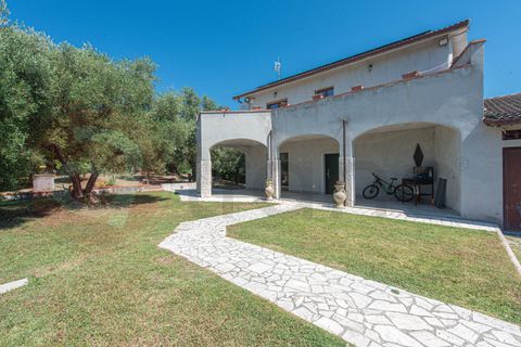 Villa - Ceccano, Frosinone, Ceccano - € 230 000 | Réf : AC99-149-1781 - photo 4