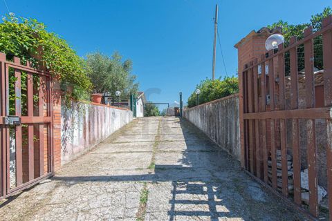 Villa - Ceccano, Frosinone, Ceccano - € 230 000 | Réf : AC99-149-1781 - photo 16