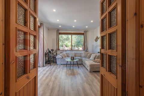 Villa - Ceccano, Frosinone, Ceccano - € 230 000 | Réf : AC99-149-1781 - photo 18