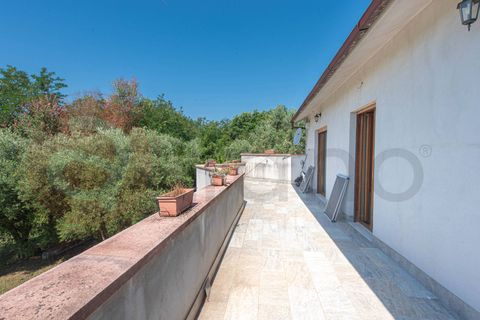 Villa - Ceccano, Frosinone, Ceccano - € 230 000 | Réf : AC99-149-1781 - photo 37