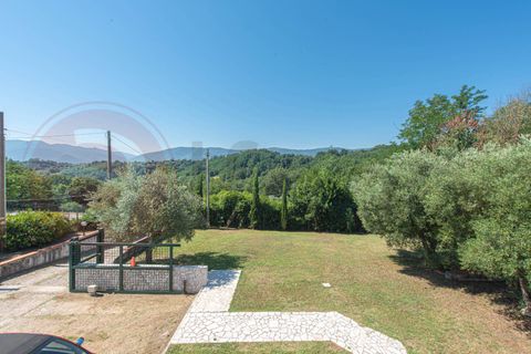 Villa - Ceccano, Frosinone, Ceccano - € 230 000 | Réf : AC99-149-1781 - photo 40