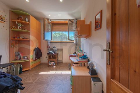 Villa - Ceccano, Frosinone, Ceccano - € 230 000 | Réf : AC99-149-1781 - photo 44