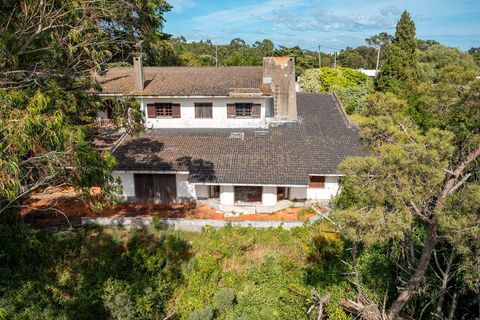 Villa i Cascais, Lisbon, Cascais - € 2.650.000 | Ref: C0364-06177 - foto 6