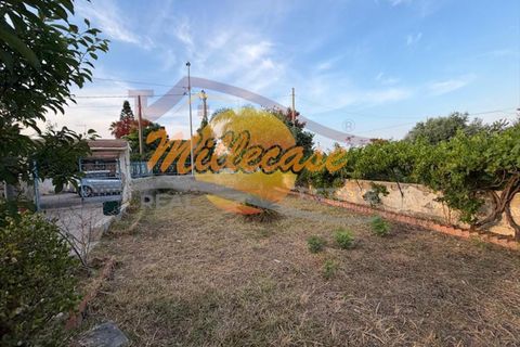 Villa i Siracusa, Siracusa, Siracusa - € 118.000 | Ref: RIF3018/118FANUSA - foto 6