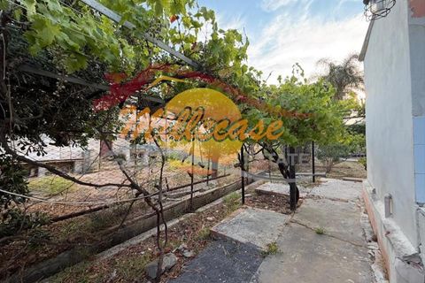 Villa i Siracusa, Siracusa, Siracusa - € 118.000 | Ref: RIF3018/118FANUSA - foto 21