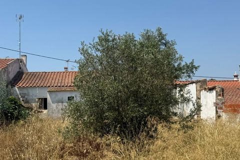 Villa i Castro Verde, Beja, Castro Verde - € 60 000 | Ref: 281671038 - foto 7