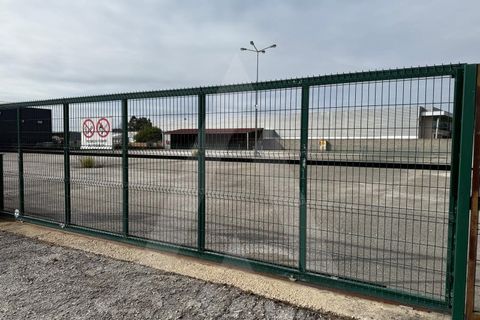 Helårsgrund i Cantanhede, Coimbra, Cantanhede - € 295.000 | Ref: 1012211/25 GL - foto 12