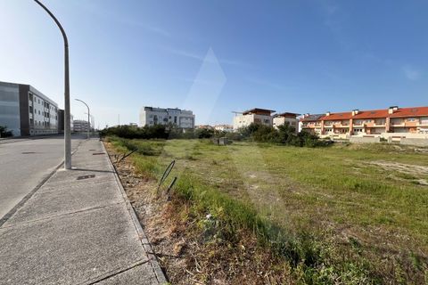 Helårsgrund i Vagos, Aveiro, Vagos - € 455.000 | Ref: 1012021/24 GL - foto 1