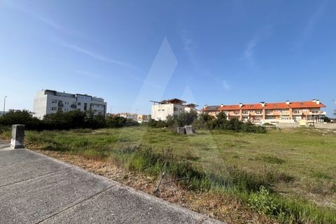 Helårsgrund i Vagos, Aveiro, Vagos - € 455.000 | Ref: 1012021/24 GL - foto 5
