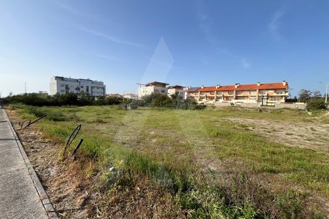 Helårsgrund i Vagos, Aveiro, Vagos - € 455.000 | Ref: 1012021/24 GL - foto 6