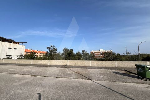 Helårsgrund i Vagos, Aveiro, Vagos - € 455.000 | Ref: 1012021/24 GL - foto 7