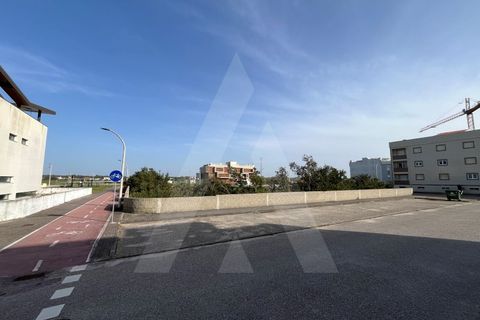 Helårsgrund i Vagos, Aveiro, Vagos - € 455.000 | Ref: 1012021/24 GL - foto 8