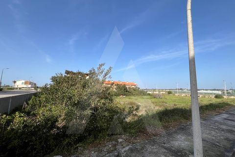Helårsgrund i Vagos, Aveiro, Vagos - € 455.000 | Ref: 1012021/24 GL - foto 12