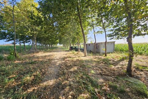 Helårsgrund i Ilhavo, Aveiro, Ilhavo - € 80.000 | Ref: 1011796/23 GL - foto 1