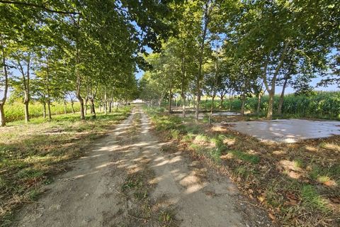 Helårsgrund i Ilhavo, Aveiro, Ilhavo - € 80.000 | Ref: 1011796/23 GL - foto 6