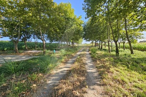 Helårsgrund i Ilhavo, Aveiro, Ilhavo - € 80.000 | Ref: 1011796/23 GL - foto 7