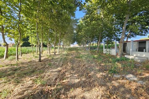 Helårsgrund i Ilhavo, Aveiro, Ilhavo - € 80.000 | Ref: 1011796/23 GL - foto 8
