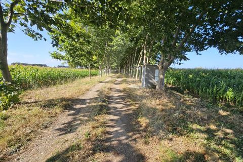 Helårsgrund i Ilhavo, Aveiro, Ilhavo - € 80.000 | Ref: 1011796/23 GL - foto 10