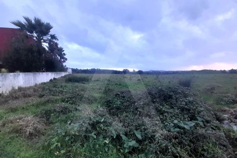Helårsgrund i Mealhada, Aveiro, Mealhada - € 87.500 | Ref: 1011935/24 GL - foto 2