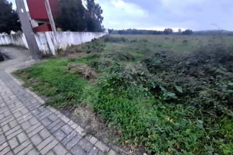 Helårsgrund i Mealhada, Aveiro, Mealhada - € 87.500 | Ref: 1011935/24 GL - foto 9