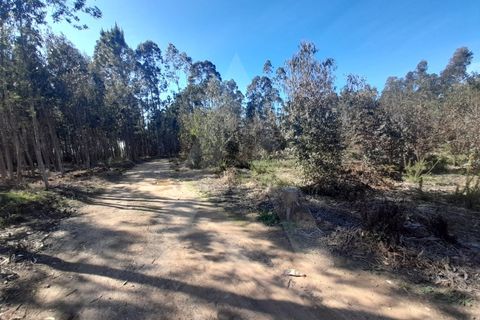 Helårsgrund i Agueda, Aveiro, Agueda - € 130.000 | Ref: 1011702/23 GL - foto 2
