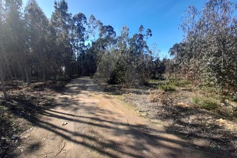 Helårsgrund i Agueda, Aveiro, Agueda - € 130.000 | Ref: 1011702/23 GL - foto 3