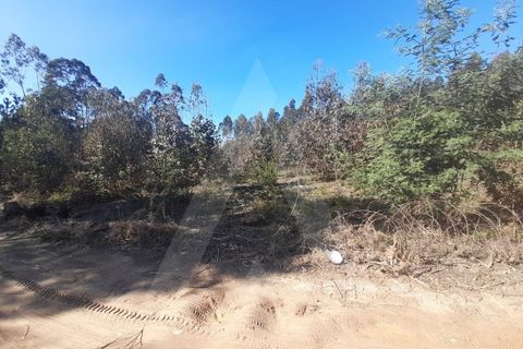 Helårsgrund i Agueda, Aveiro, Agueda - € 130.000 | Ref: 1011702/23 GL - foto 5