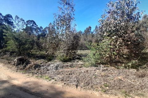 Helårsgrund i Agueda, Aveiro, Agueda - € 130.000 | Ref: 1011702/23 GL - foto 6